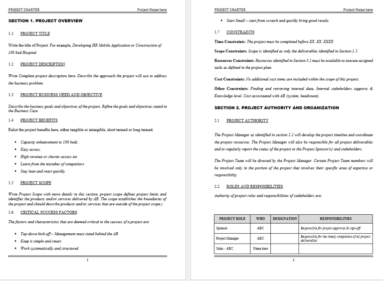 Professional project charter template preview